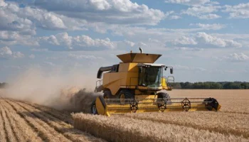 Кубань бьёт рекорды: порты Краснодарского края на пике отгрузок зерна