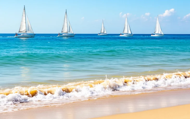 В Сочи утвердили концепцию курортного сезона 2026 под названием &laquo;Выбирай Сочи&raquo;