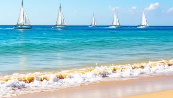 В Сочи утвердили концепцию курортного сезона 2026 под названием &laquo;Выбирай Сочи&raquo;