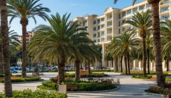 Семь новых пространств благоустроят в Сочи в 2026 году