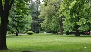 Три зоны благоустроят в Курганинске в 2026 году по нацпроекту