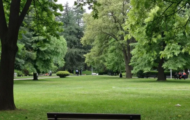 Три зоны благоустроят в Курганинске в 2026 году по нацпроекту