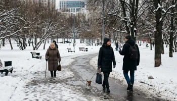 Снег и заморозки снова накрыли регионы европейской части России