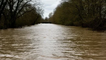 Уровень Кубани пойдёт на спад: сбросы воды уменьшат на Шапсугском и Краснодарском водохранилищах